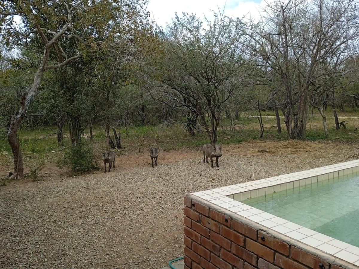 Willa Eagle'S Crest Marloth Park Zewnętrze zdjęcie